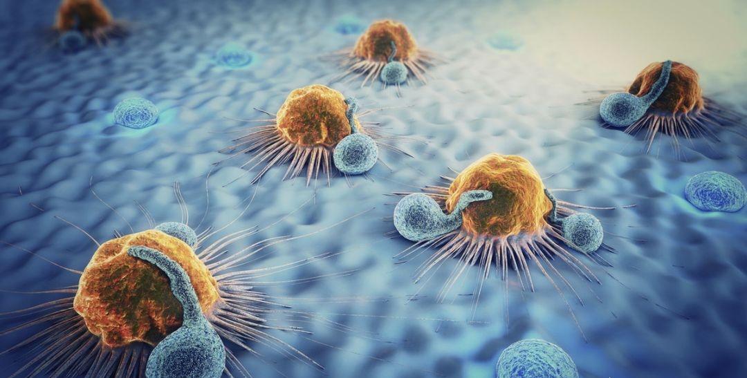 维生素C对抑制癌症细胞有影响吗？