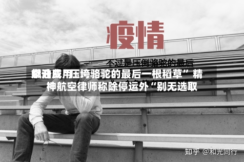 燃油费用飙升成“压垮骆驼的最后一根稻草” 精神航空律师称除停运外“别无选取”