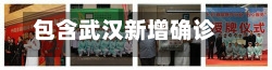 包含武汉新增确诊的词条