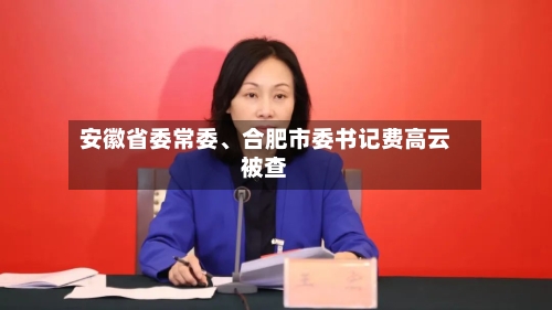 安徽省委常委、合肥市委书记费高云被查