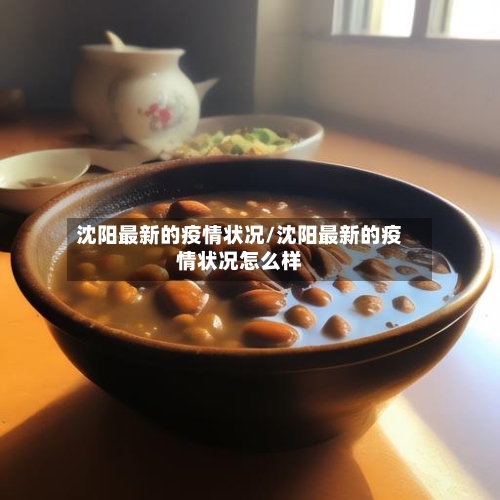 沈阳最新的疫情状况/沈阳最新的疫情状况怎么样